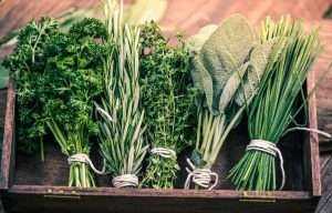 5. Herb Gardening Reduced Landscape